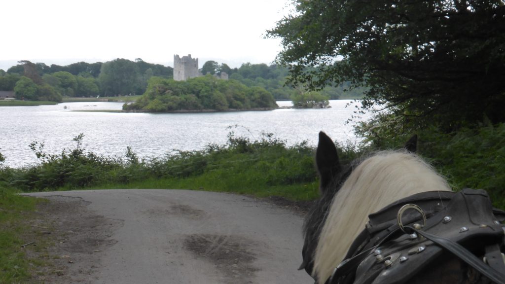 P1080486 Killarney National Park Jaunting Car-tocht