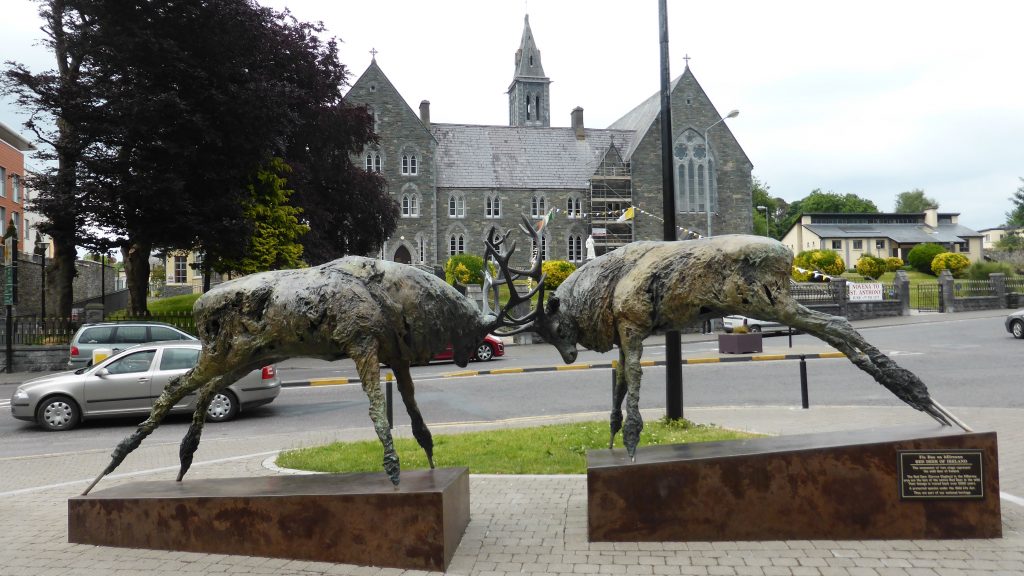 P1080502 Killarney