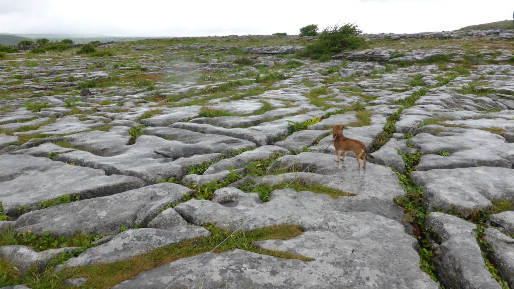 P1080756 The Burren