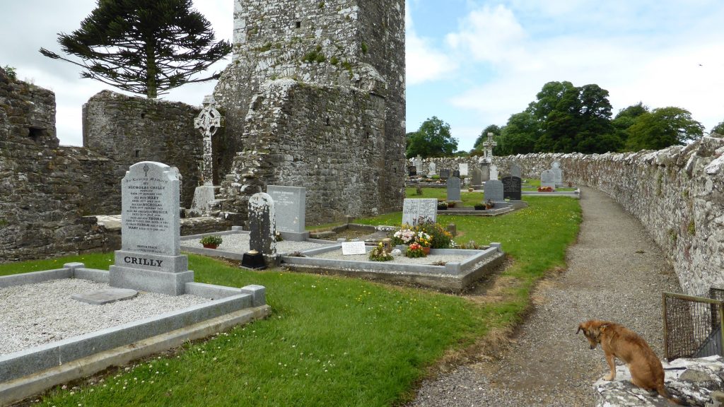 P1090407 Hill of Slane