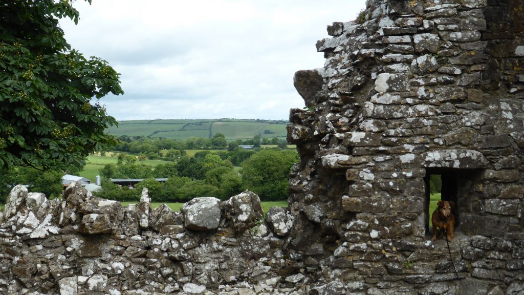 P1090414 Hill of Slane