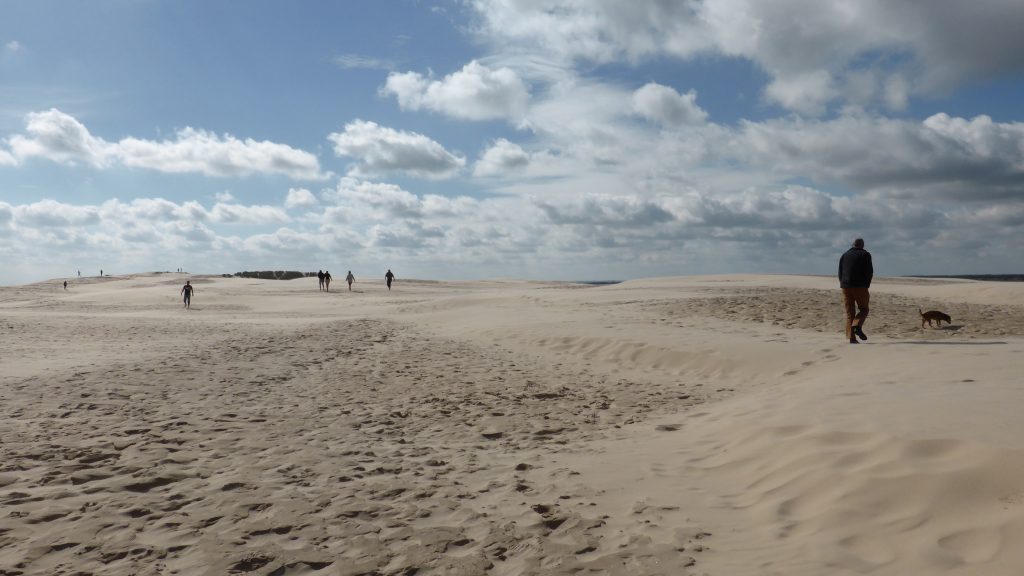 P1100232 Rabjerg mile zandduinen