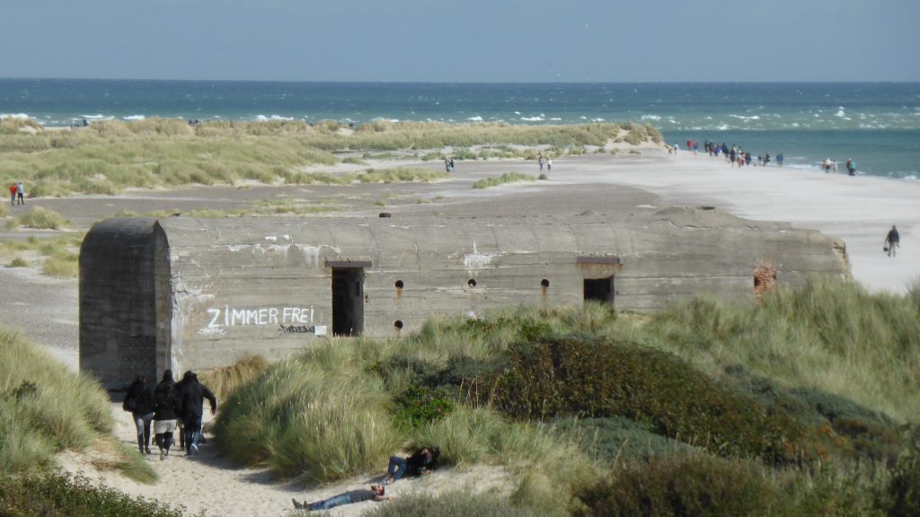 P1100240 Grenen