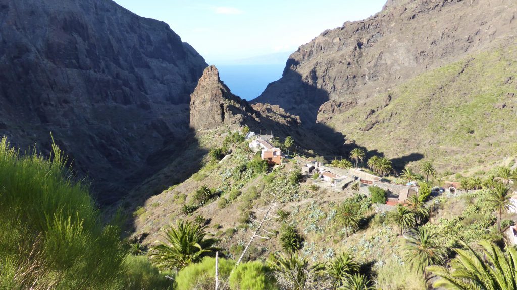 p1110095-masca