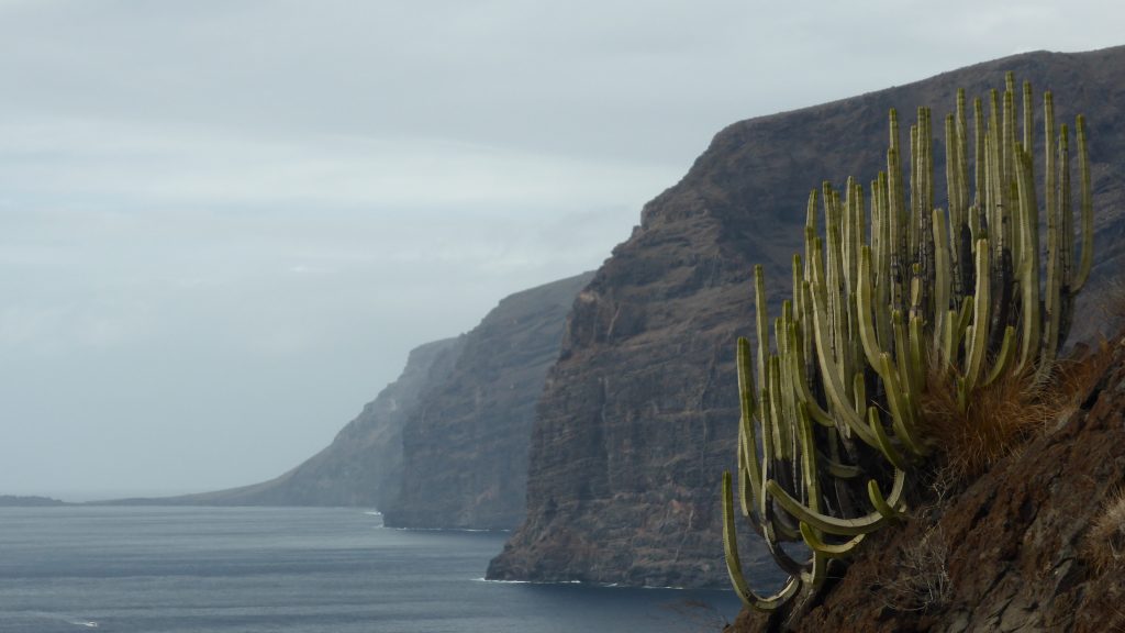 p1110121-los-gigantes
